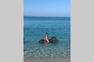 Maison typique de campagne au cœur de la nature . - 5