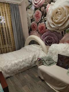 апартаменты 1 комнатные на Ришельевской - 4