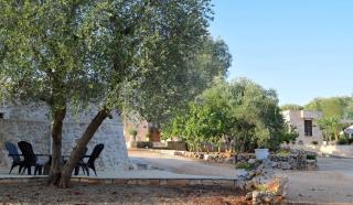 Dimore Storiche - Ulivo di Aldo - Martina Franca - 1