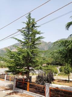 La Carrozza sul Titerno - Faicchio - 2