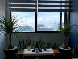 Blue Horse Apartment in New Polanco. - Città del Messico - 3