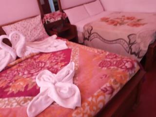 La Rose Guest House - 8