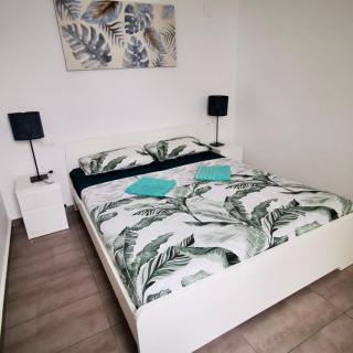 HDA apartment - Torrevieja - 4