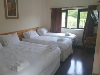 The Meetings B&B - Avoca - 6