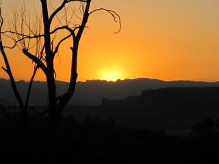 The Fat Mulberry Guest Farm - Fouriesburg - 6