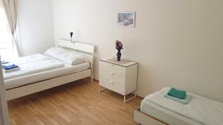 Sobieski Inner Ring Apartments - Viena - 8