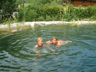 Chalet Mandl Sauna Pool Rollstuhlgängig - Maishofen - 8