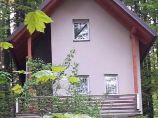 Peaceful Holiday Home in Holín with Garden - Prachov - 9