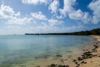 Flowers of Paradise with LOV - Mont Choisy - 2