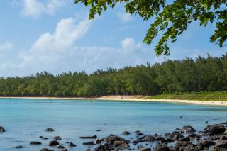 Flowers of Paradise with LOV - Mont Choisy - 5