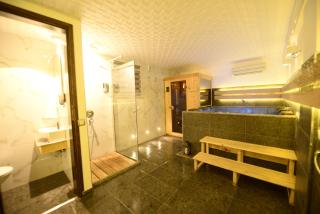 Villa Dijana - Pool, Spa, Outdoor Kitchen - Belgrade - 7