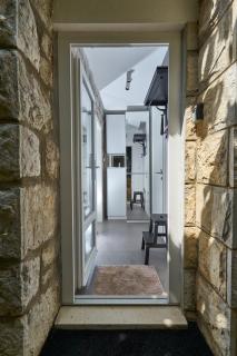 Aspidistra Shadow - 6