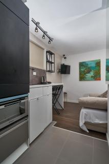 Aspidistra Shadow - 2