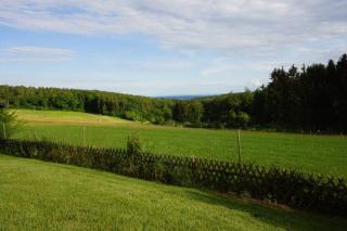 Ruhe Oase mit tollem Fernblick inmitten der Natur - Limbach - 4