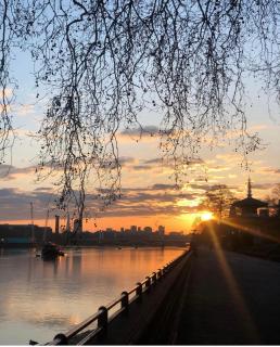Studio, Private, independant Entrance, Central, Battersea Park - Londra - 1