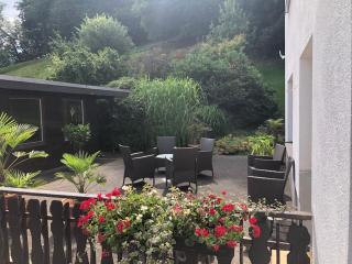 Ferienwohnung am Wald mit Garten & Hot-Tub & Alpakas - Meschede - 1