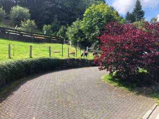 Ferienwohnung am Wald mit Garten & Hot-Tub & Alpakas - Meschede - 5