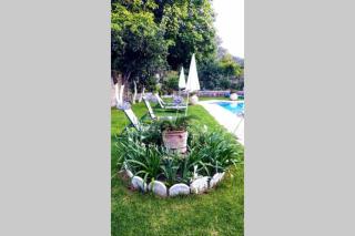 Katerinas House Apartment - 1