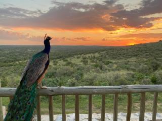 Big Valley Game Lodge - Lobatse - 1