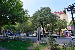 Abovyan street, 1 bedroom Beautiful Renovated, Spacious apartment AB130 - Erevan - 0