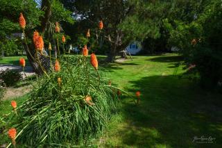 Domaine les Rousselieres - 5