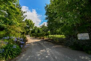 Domaine les Rousselieres - Olonne-sur-Mer - 4