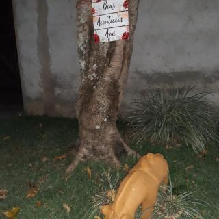Casa Coral em Saquarema - Saquarema - 7