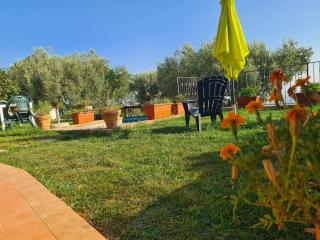 Il colle degli ulivi - 9