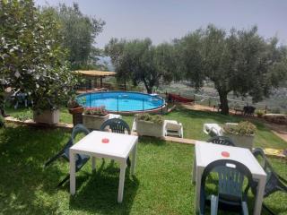 Il colle degli ulivi - 8