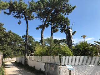 NAUZAN - Vaux-sur-Mer - 1