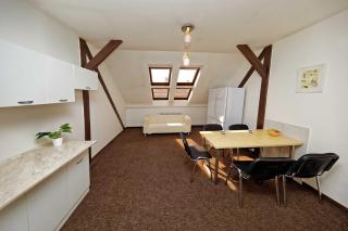 Apartments At I.P.Pavlova - Prag - 8