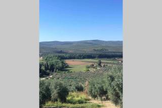 El Retamar de Tomé - 7