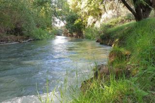 El Retamar de Tomé - 6