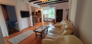 Apartament in vila langa Castelul Cantacuzino - 3