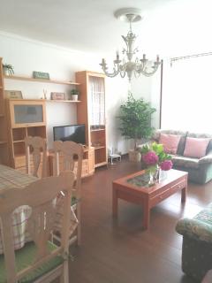 APARTAMENTO RIO AGÜERA DE GURIEZO, cerca de Castro Urdiales y Bilbao - Adino - 0