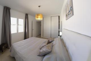 Luxury Senator Apartments - 1