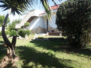 Chalet del Mare - Porto Cesareo - 0