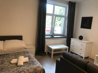 Boutique Apartments Liberec - Liberec - 8