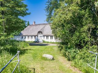 Idyllic Danish Farmhouse Retreat-By Traum - Hemmet - 3