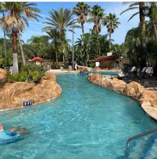 Regal palms resort and spa - Davenport - 5