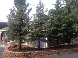 Basalt Mountain Inn - 1