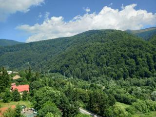 RAI Apartament - Sinaia - 0