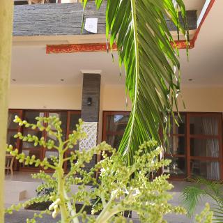 The Pulau Bungalow - Nusa Lembongan - 8