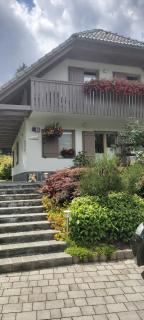 Apartma - Počitniška hiša Lodi - Bohinj - 9