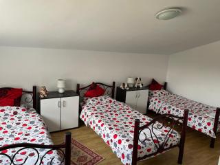 Vila Ekooos - Brasov - 7