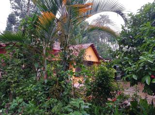 dreams home estate stay 2 - 2