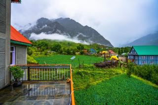 Zostel Homes Rashil (Lahaul and Spiti) - Tāndi - 1