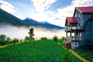 Zostel Homes Rashil (Lahaul and Spiti) - Tāndi - 8