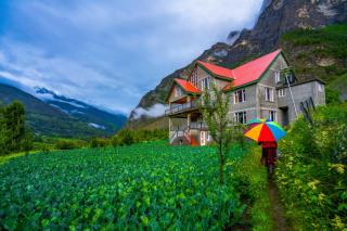 Zostel Homes Rashil (Lahaul and Spiti) - Tāndi - 5