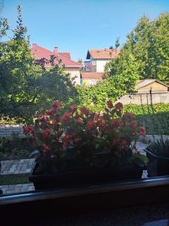 Apartman Hujić - Bihać - 5